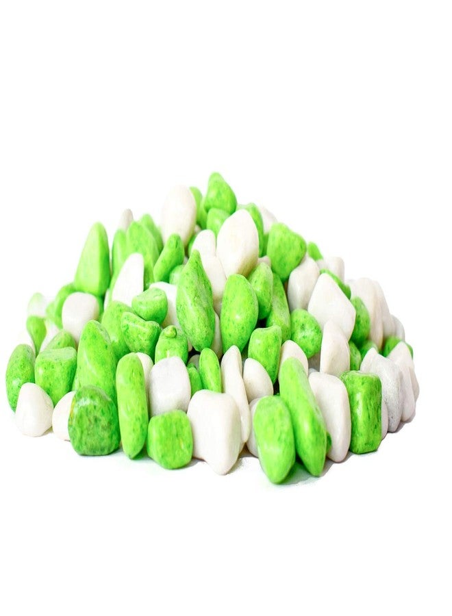 Power Stone Decorative Coloured Asymmetric Marble Stone Pebbles for Vase Filler Plant Pots Home Aquarium Fish Tanks Landscape Outdoor Garden Decoration (Parrot Green & White, 3Kg) - Image 1